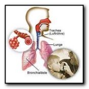 asthma natural treatment