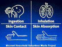 absorption-pathways.gif