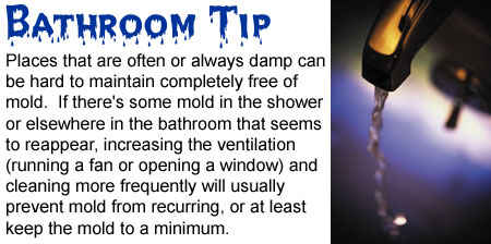 bathroom-mold-tip.jpg