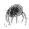Don't feed the dust mites!