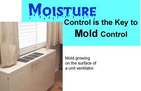 To control mold you have to control moisture.