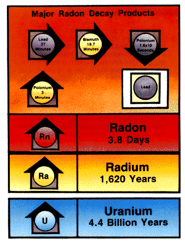 Chart of Radon Daughters