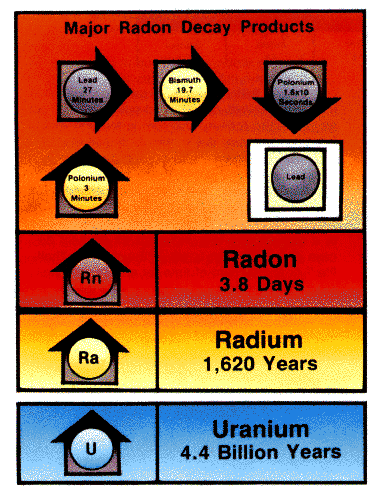 PRO-LAB Gray Radon in Water Detector - Detects Invisible & Odorless Radon  Gas - EPA Approved Lab Methods - Safe & Easy to Use in the Radon Detectors  department at