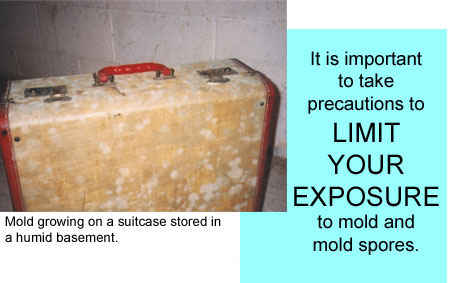 suitcase-mold.jpg