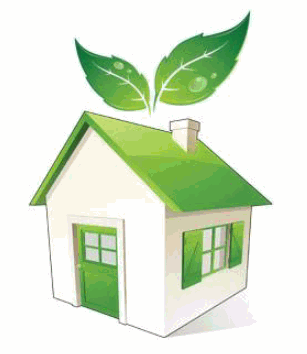 green healthy home news