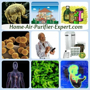 Home AIr Purifier Expert Collage