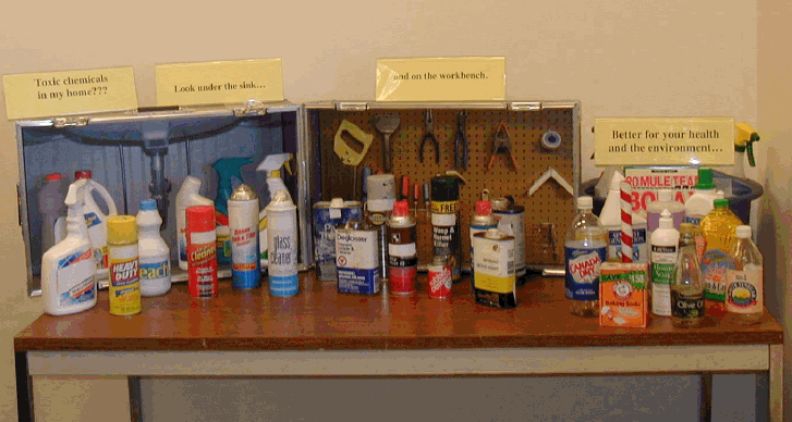 image of household chemical products from not so safe to safer