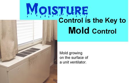 Mold and moisture control